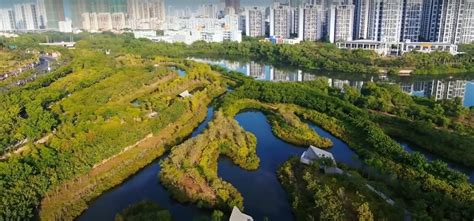 武漢哪個溫泉哪個好，泡湯時光與城市記憶的交織